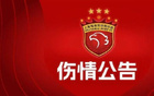 海港官方：顏駿凌左踝韌帶撕裂，預計傷缺2-3周。