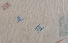 中超11輪，冠軍之爭顯露，海港無需多慮。