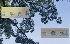 蔣內傷，大連賽，馬艾誰得機？