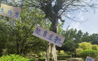 米內羅金靴，申花奪冠，范志毅95年輝煌重現。
