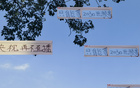 聽賀偉解說，國足世預(yù)賽免費直播，央視待定。