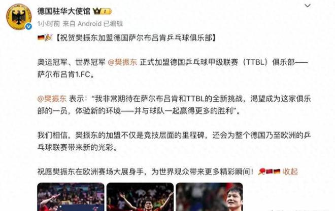 樊振東德甲6天，三大益處顯，俱樂部贊其瘋狂。