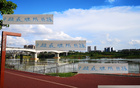 中超頭號難防前鋒，青島外援勝出，非海港萊納多，乃申花米內羅。