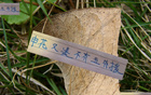 申花帥哥特謝拉、蔣圣龍未隨隊(duì)赴深圳。