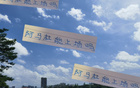 阿馬杜、朱辰杰能否上場(chǎng)？申花戰(zhàn)深圳，期待比賽！