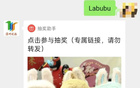中國足協終止伊萬主帥合作