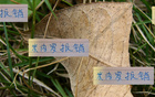 米內(nèi)羅出局，申花急招外援，夏窗換血定局！