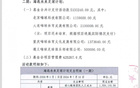 嗨球海選財報：捐款907.5萬，教練團隊支出345萬。