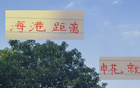 海港申花僅差4分，下半年有望反超，期待！