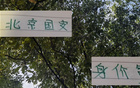北京國安身價高，申花下滑，御林軍爭冠需策略。