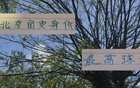 古加身價高，北京國安之驕，能否成海港奧斯卡？
