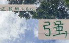 強觀大局！國安主帥輪換險致敗，多樣陣容更勝一籌。