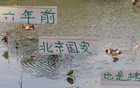 巧合？六年前北京國安領先，但奪冠非其。