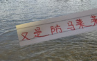 面對馬萊萊，上海海港需勝大連英博，奪冠無望！