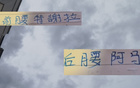 申花新組合，特謝拉+阿馬杜，下半程能否起飛？