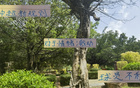 中超新規(guī)不利申花特謝拉，需調(diào)整隊(duì)長(zhǎng)或增吳曦盯人。