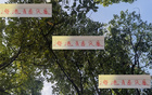 海港青春風暴，李新翔領銜，大連賽進球助攻亮眼！