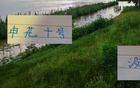 路易斯替身難覓，特謝拉無可替代，申花10號幸免停賽。