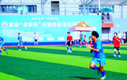 "鹵鵝杯"川渝足球賽榮昌舉行，93隊千人參賽