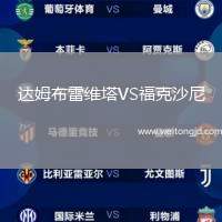 達姆布雷維塔VS福克沙尼