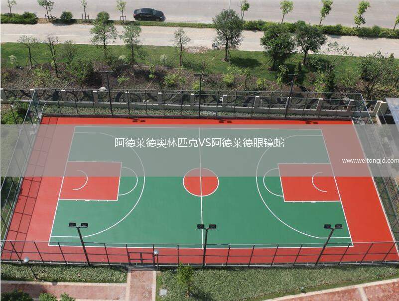 阿德萊德奧林匹克VS阿德萊德眼鏡蛇