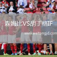 森姆比VS胡丁格IF
