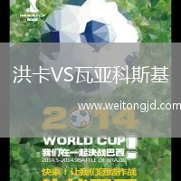 洪卡VS瓦亞科斯基