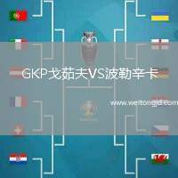GKP戈茹夫VS波勒辛卡