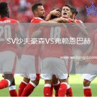SV沙夫豪森VS弗賴恩巴赫