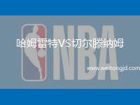 哈姆雷特VS切爾滕納姆