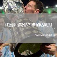 桃園領航猿VS雅加達明燈