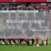基希訥烏野牛VS謝里夫