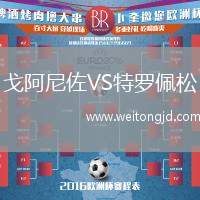 戈阿尼佐VS特羅佩松
