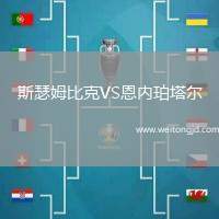 斯瑟姆比克VS恩內珀塔爾