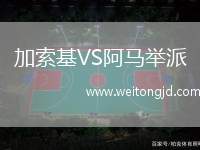 加索基VS阿馬舉派