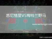 悉尼彗星VS梅特蘭野馬