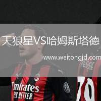 天狼星VS哈姆斯塔德