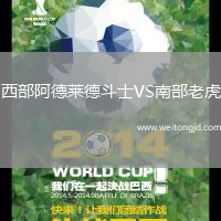 西部阿德萊德斗士VS南部老虎