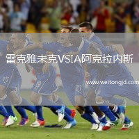 雷克雅未克VSIA阿克拉內(nèi)斯