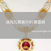 迪克瓦夏普爾VS夏雷姆