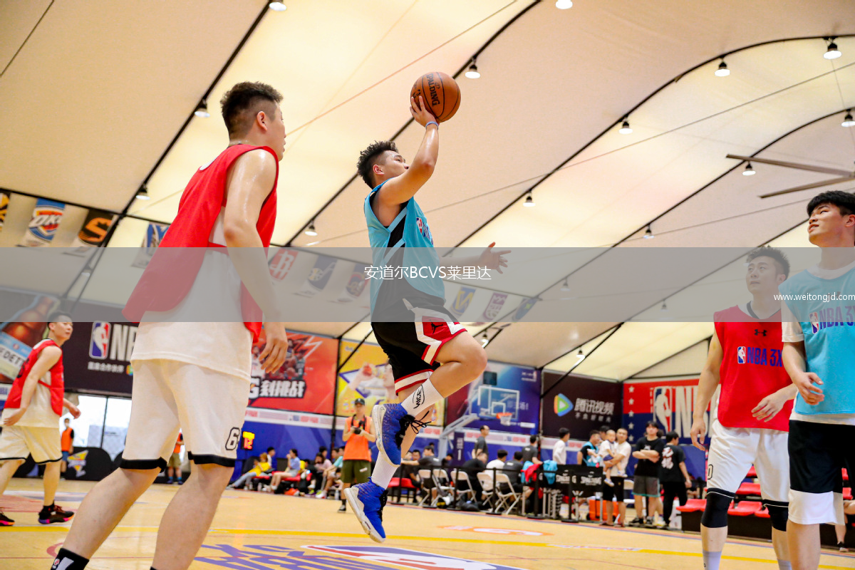 安道爾BCVS萊里達