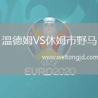 溫德姆VS休姆市野馬