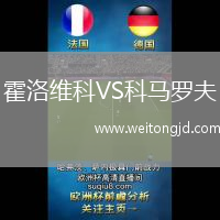 霍洛維科VS科馬羅夫