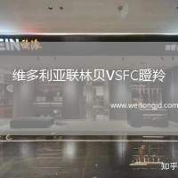 維多利亞聯(lián)林貝VSFC瞪羚