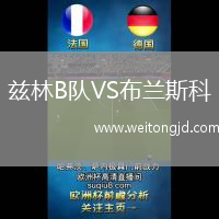 茲林B隊VS布蘭斯科