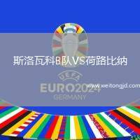 斯洛瓦科B隊(duì)VS荷路比納