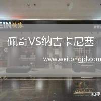 佩奇VS納吉卡尼塞