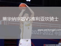 蒂華納宗基VS庫利亞坎騎士