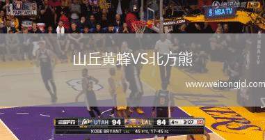 山丘黃蜂VS北方熊