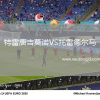 特雷唐吉莫諾VS托雷德爾馬